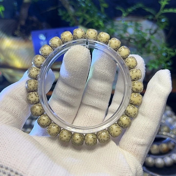 星月菩提手串海南原生态