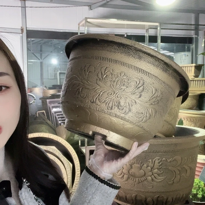 友***爷40花盆2个29.9元包邮