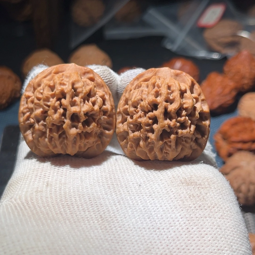 核桃毕业太行山秦闷