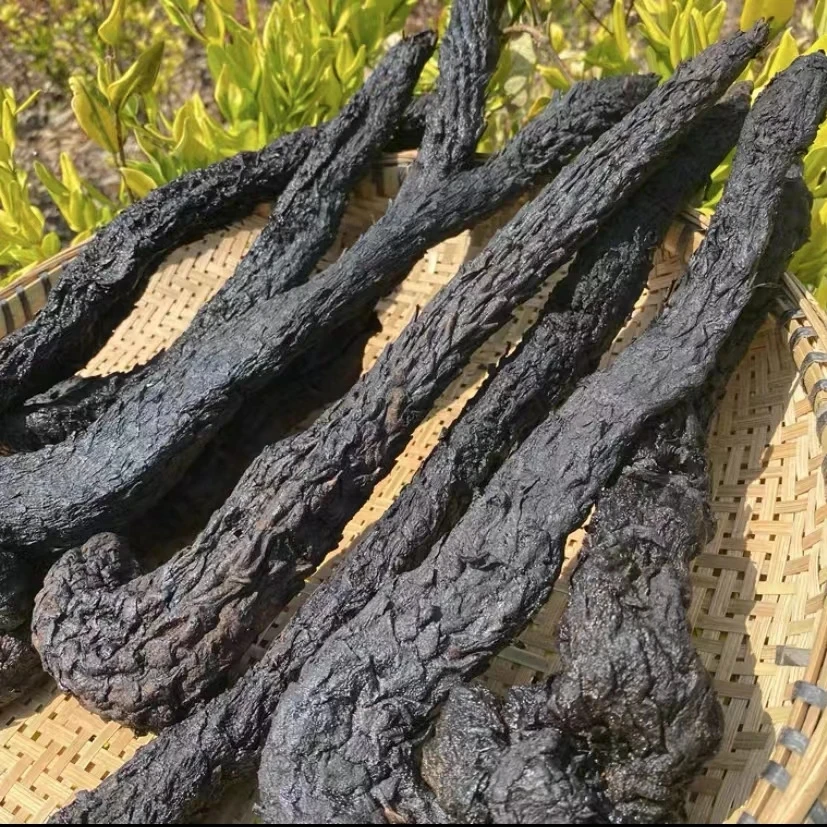 内蒙阿拉善肉苁蓉整根精选油苁蓉可切片大芸肉丛蓉泡水泡酒料