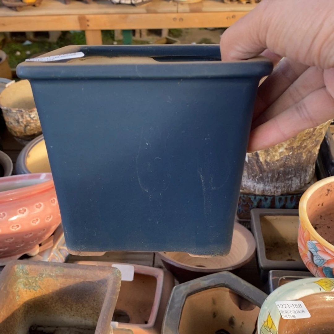 159号多肉盆口径10