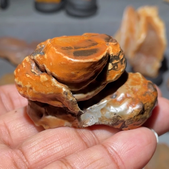 砂***厂石材阿拉善沙漠奇石