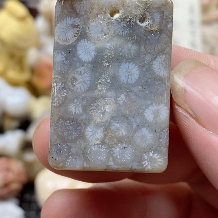 颈饰未镶嵌硅化珊瑚（珊瑚玉）有瑕 小