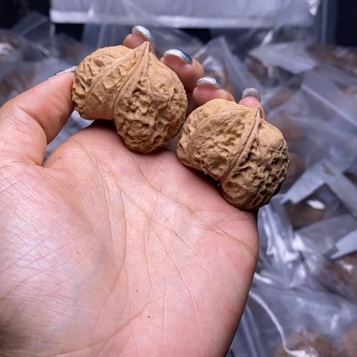 核桃云南野生铁核桃90号40mm