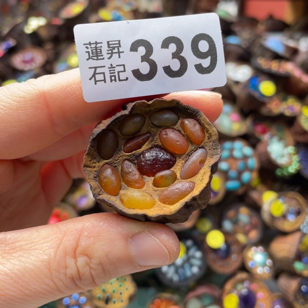 核桃木/黑胡桃（胡桃木）乐*339