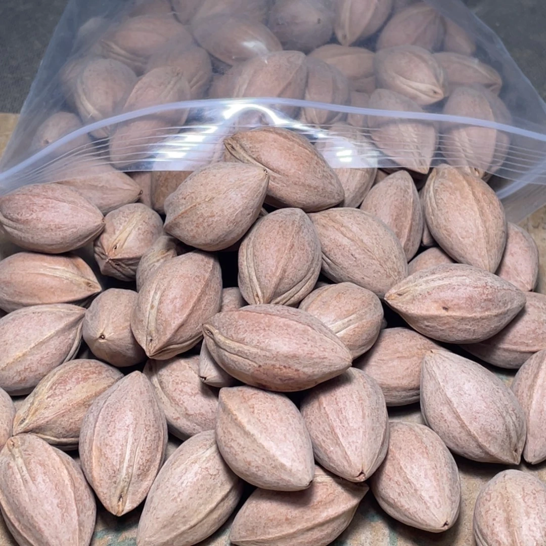 喵***妞橄榄核手串/手链不退不换qrt