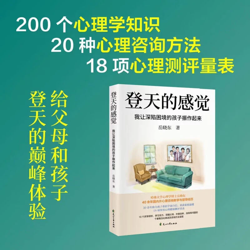 登天的感觉：我让深陷困境的孩子振作起来 岳晓东中国心理学普及