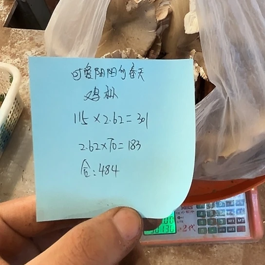 可***天云南深山野生菌鸡枞炸油