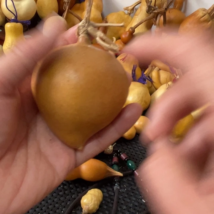 好***生葫芦葫哈哈哈哈哈哈哈哈