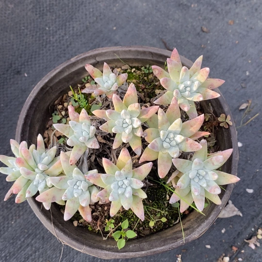 5164哈哈哈哈哈哈哈哈