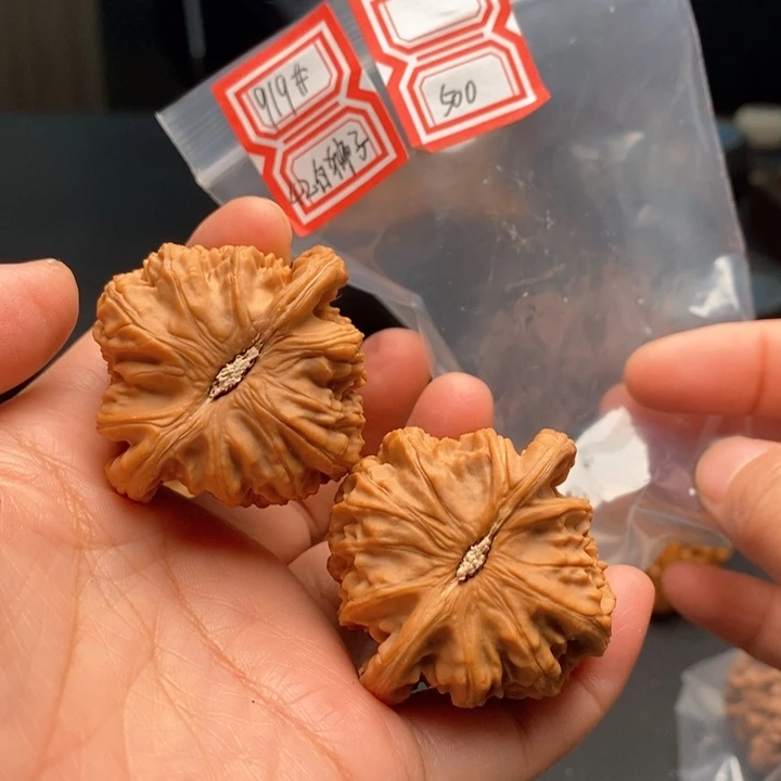 把件文玩核桃白狮子42尺
