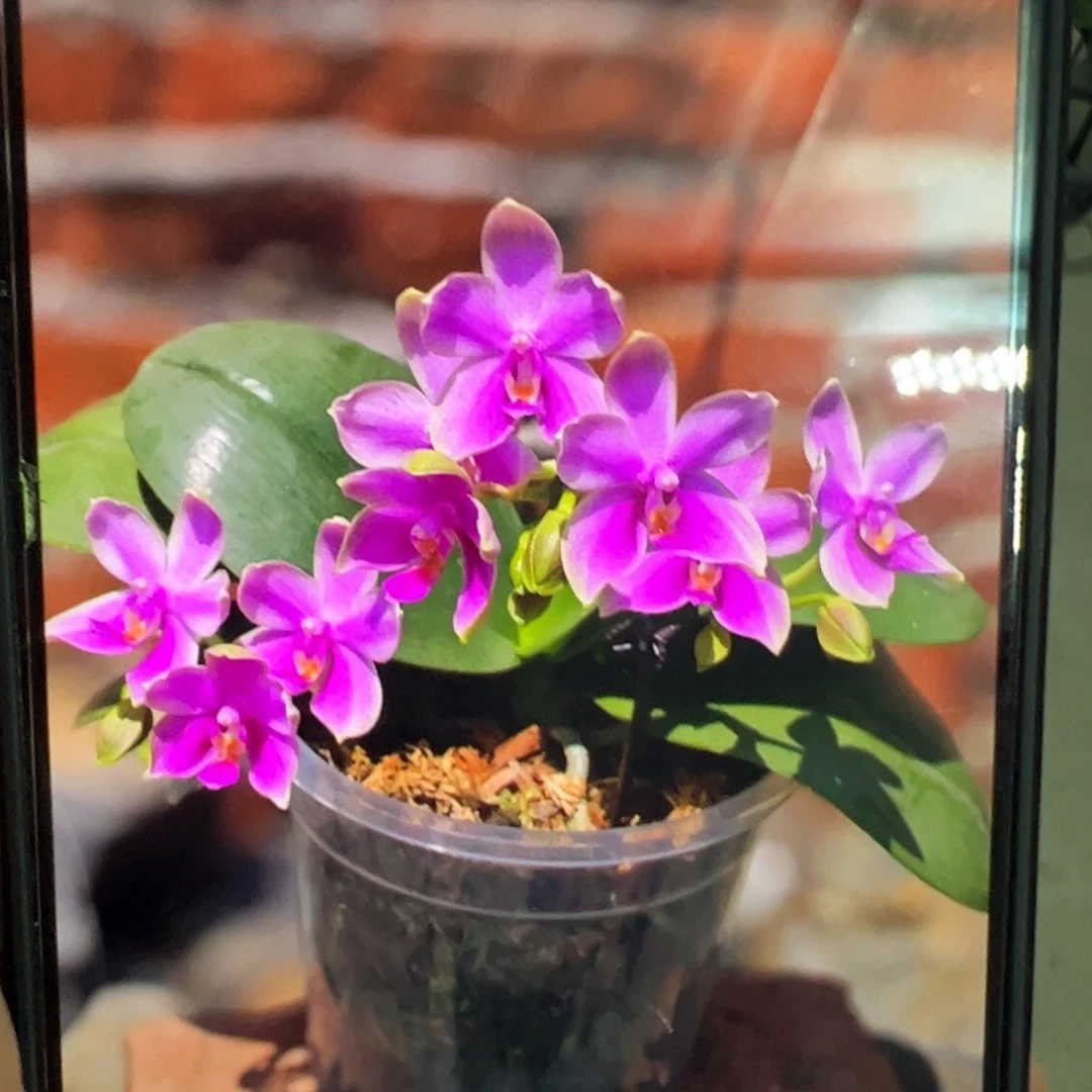 完全开放微瑕疵香奈儿凑单发货