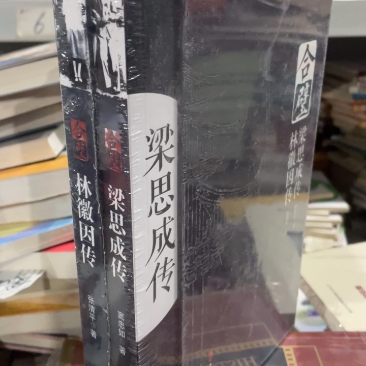 梁思成与林徽因传正版塑封