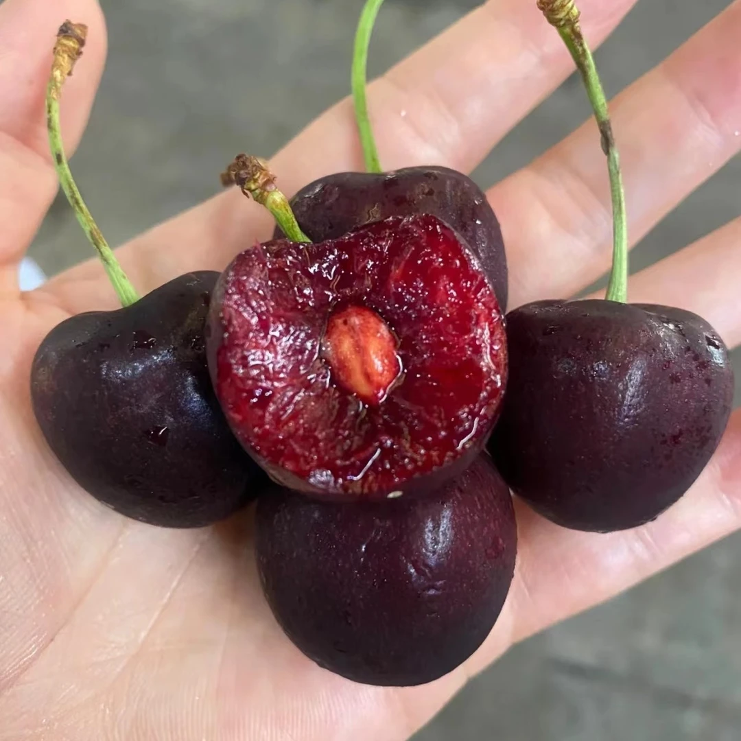 【发哥精选】智利车厘子拉宾斯 整箱净重5斤 3J-5J