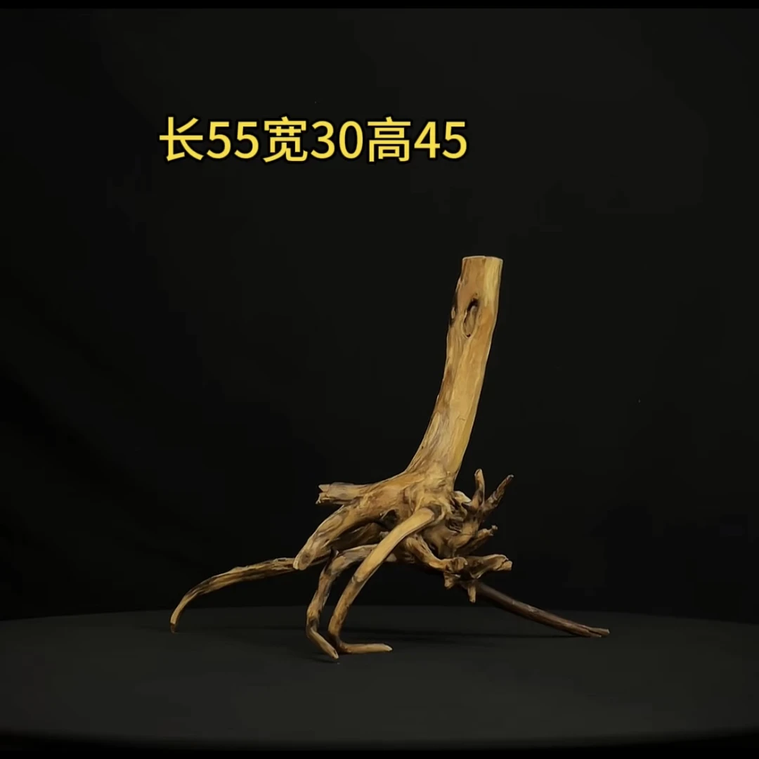 张大狼造景沉木长55cm树桩多枝 南美鱼缸造景 紫柚木秒沉