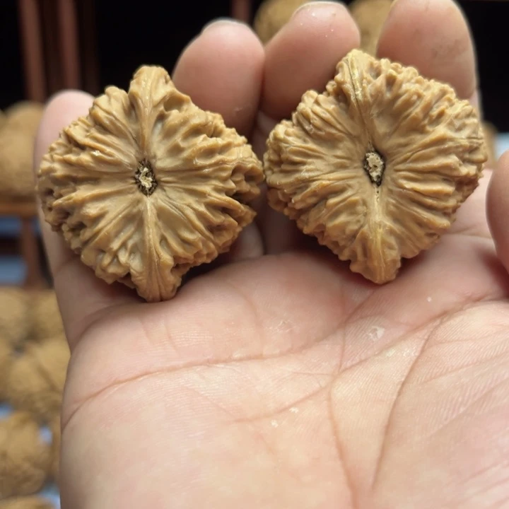 完全开放黑**?南疆石