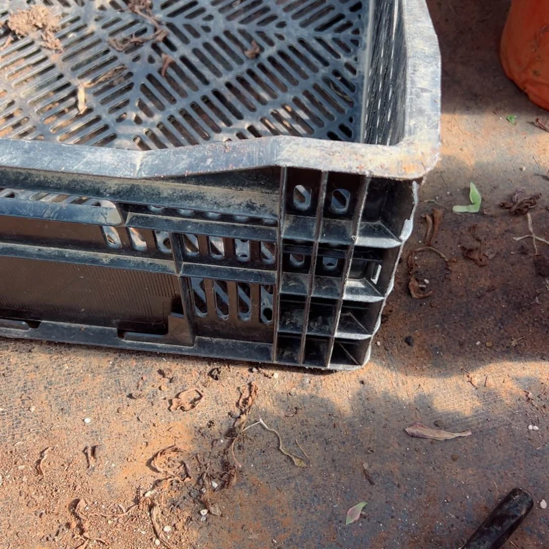 释***✨保温棉多肉