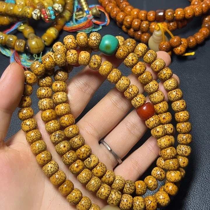 辽***尼啦咯啦咯啦咯啦咯啦