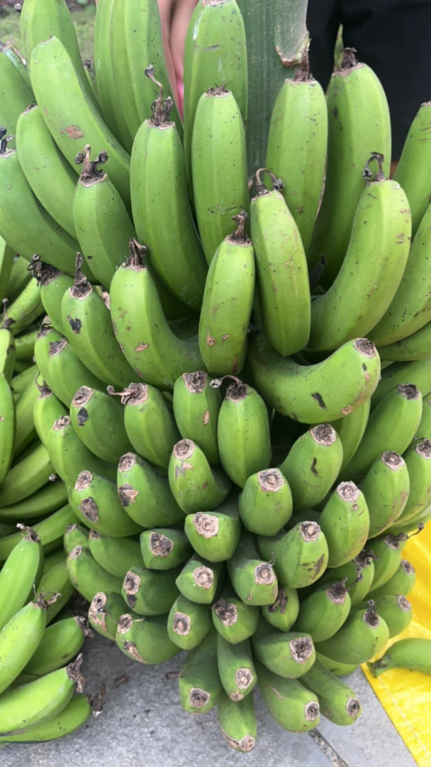 （阿玲大集现收）农家香蕉