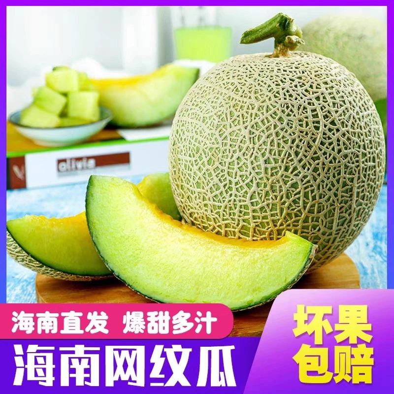 【海南】正宗网纹瓜4.5/8斤装应季香甜水果产地直发