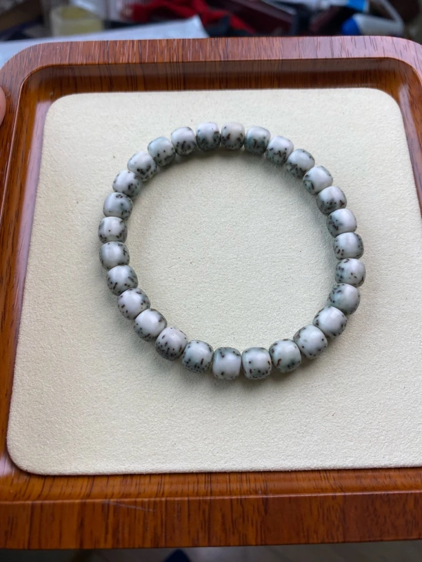 8河豚海南原生态星月菩提