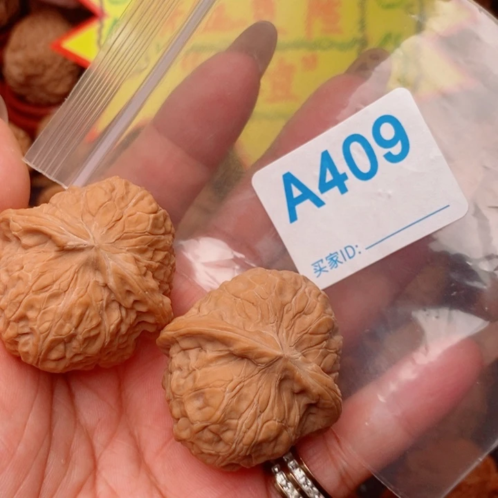 南瓜40尺409号123