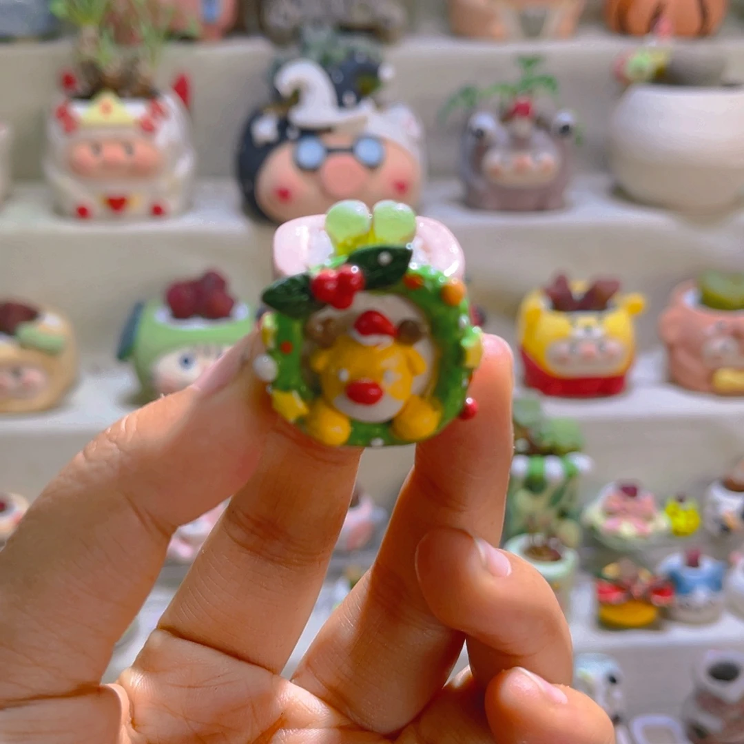 017高端多肉带盆土一套26