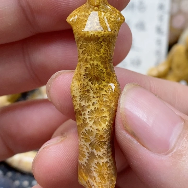 颈饰未镶嵌硅化珊瑚（珊瑚玉）