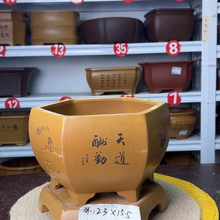 紫砂花盆蛇年大吉