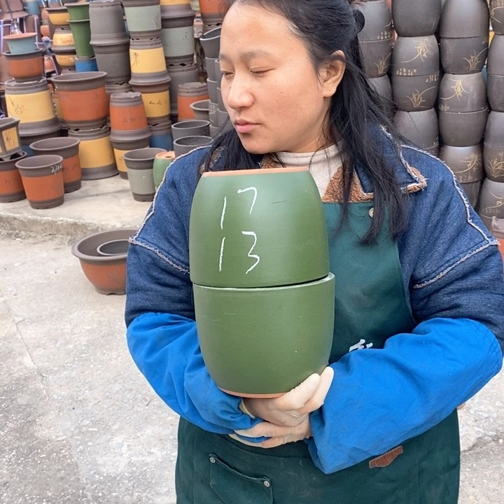 紫砂花盆盆栽花卉苗木种植