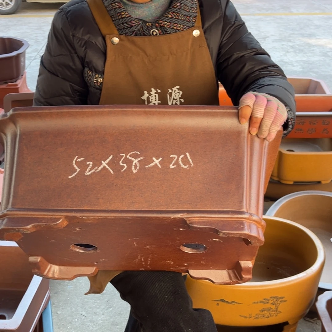 花盆紫砂盆景艺术