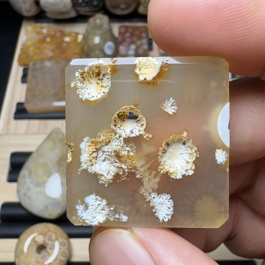 未镶嵌纯天然色有机玉石保真色硅化玉