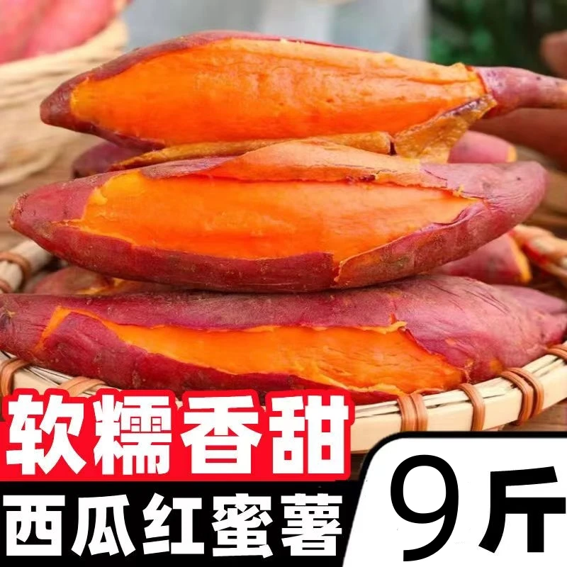 正宗新鲜现挖西瓜红蜜薯软糯香甜糖心蜜薯红心蜜薯