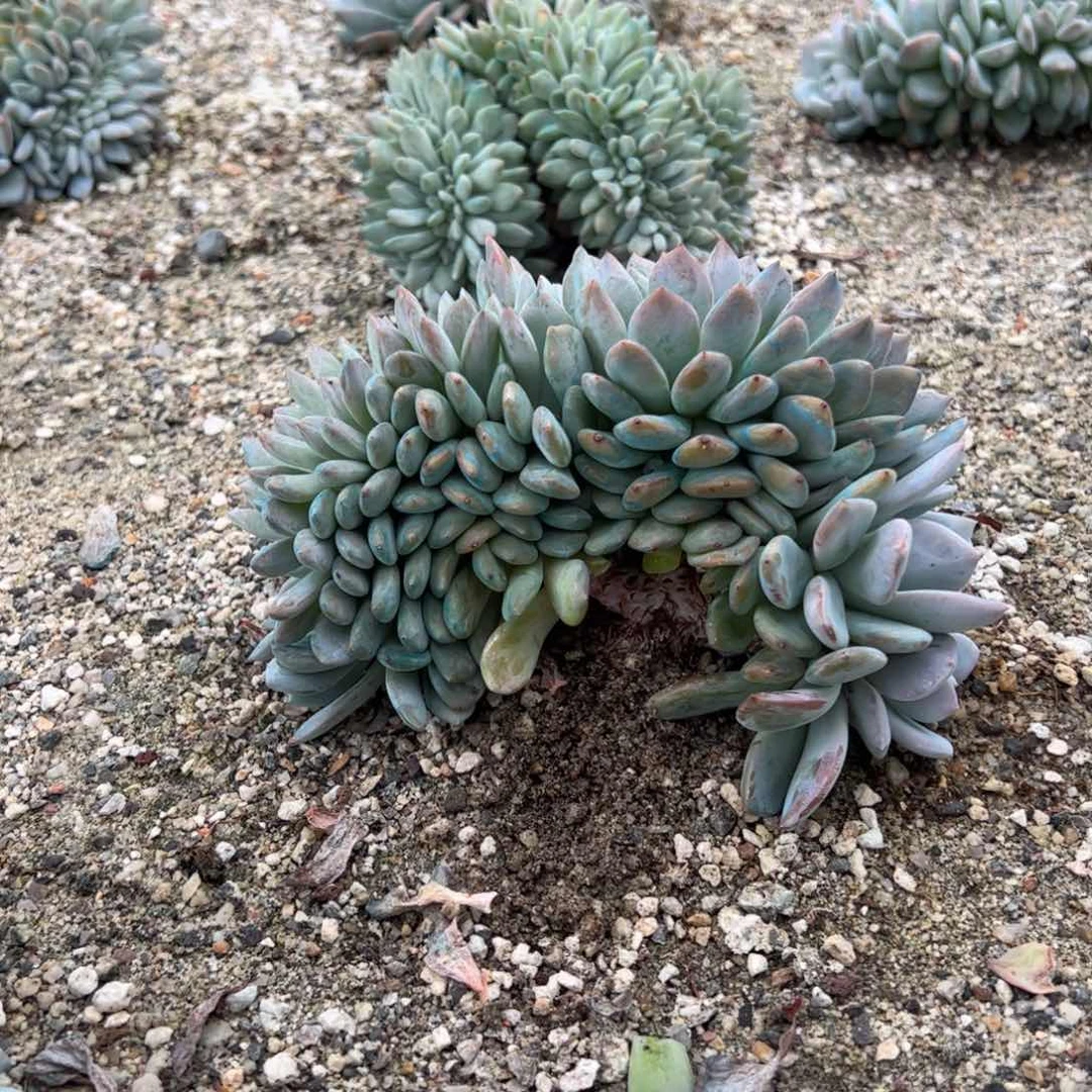 地地道道的点点滴滴