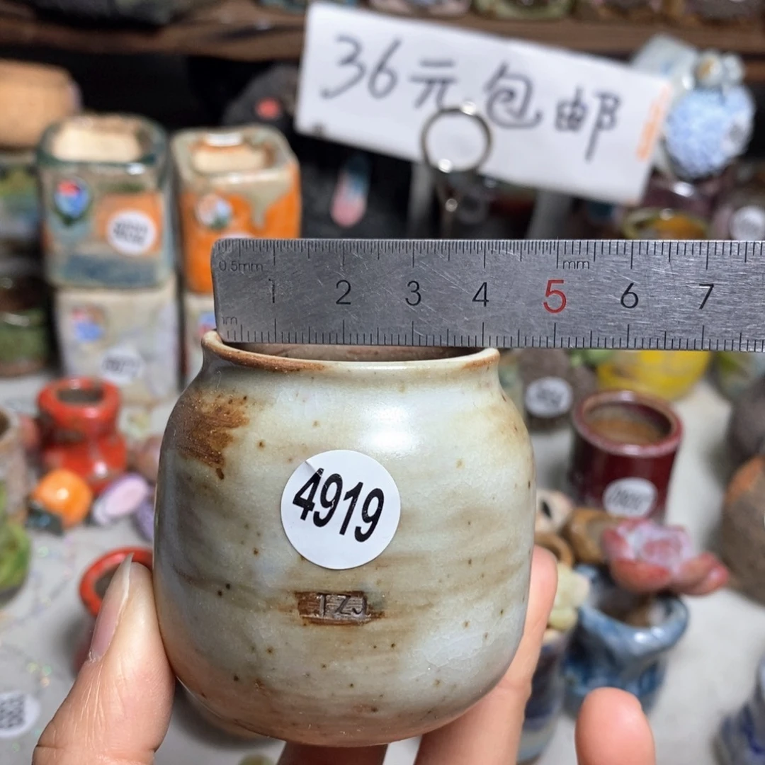 花盆拍5送一个小礼物