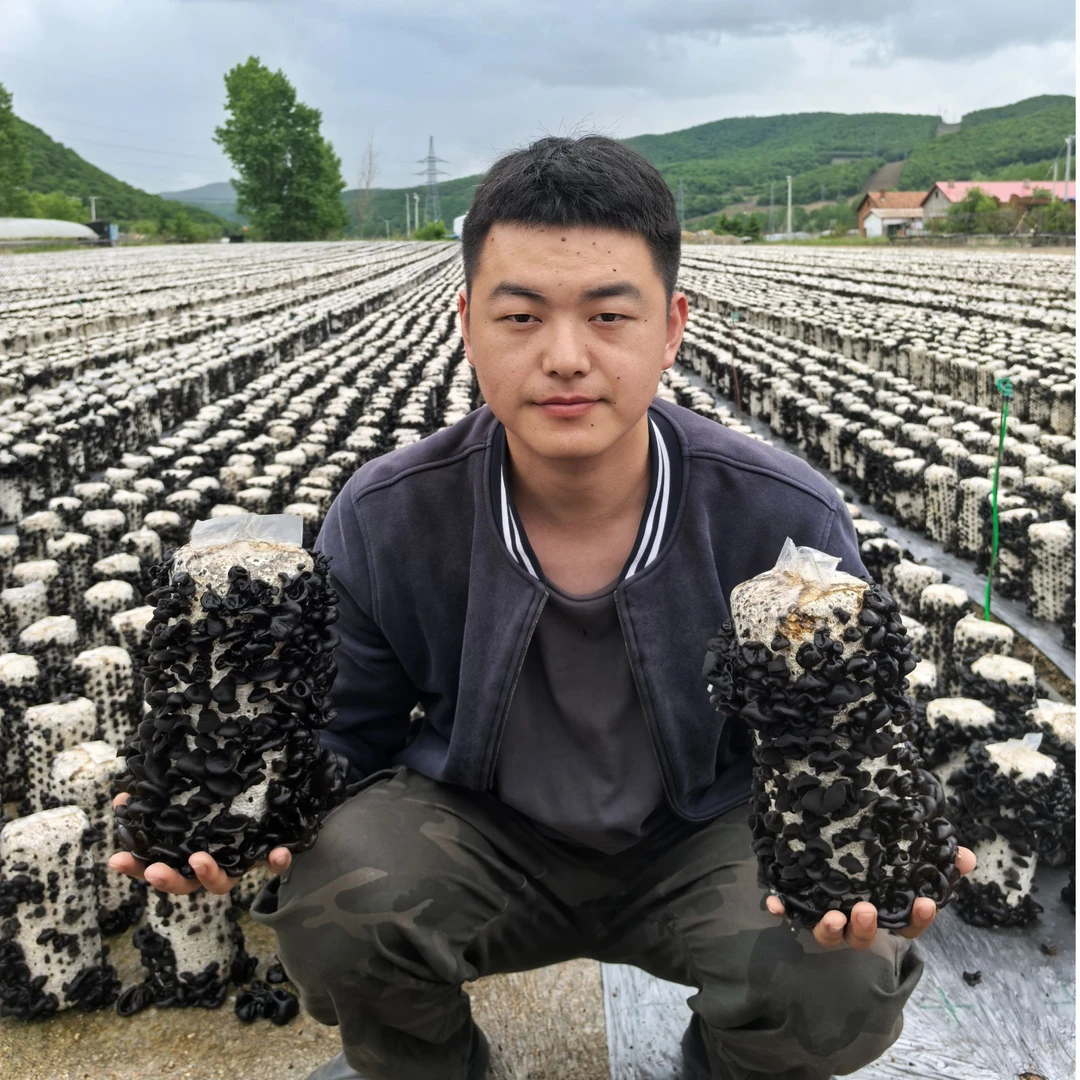 小孙家2025年东北正宗黑木耳肉厚无根干货原产地发货无熏硫不增重
