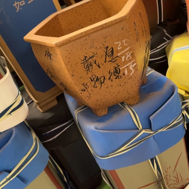 花盆紫砂紫砂花盆