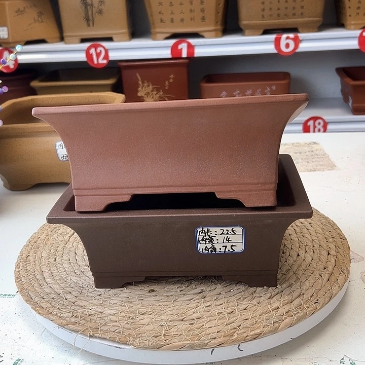 紫砂花盆蛇年大吉