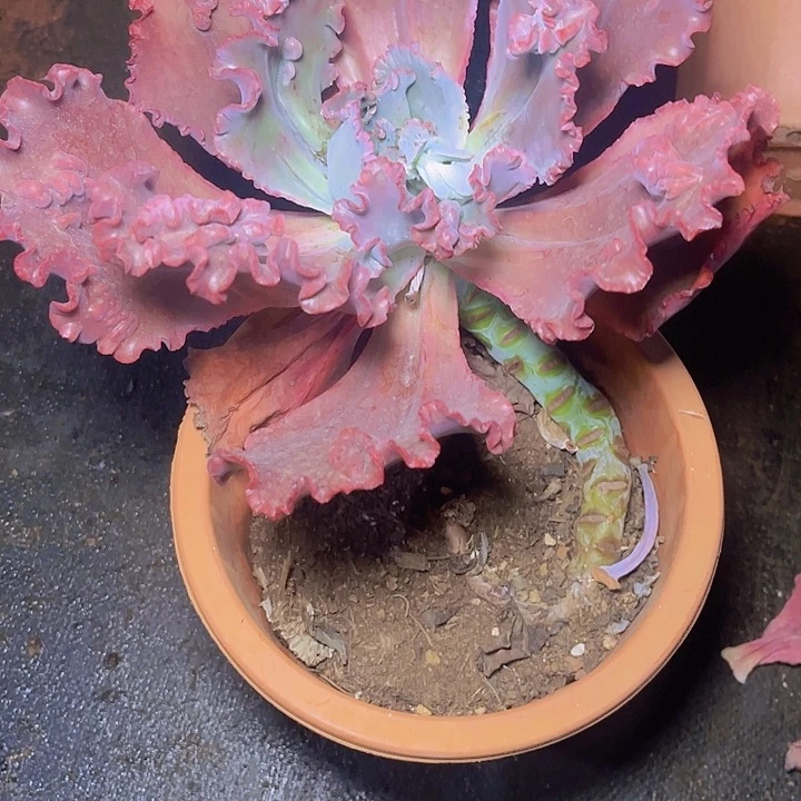 不去看书啊哈在寝室