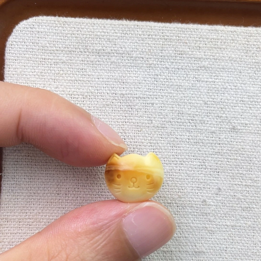 裸石琥珀未镶嵌猫鱼