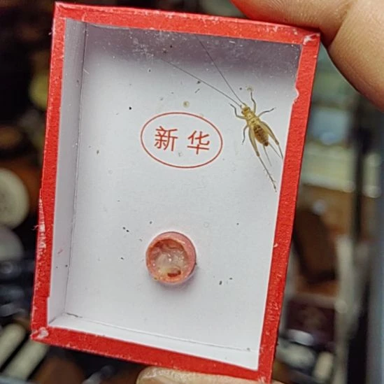 北***兄新华黄蛉好好好好好好好好好好好好