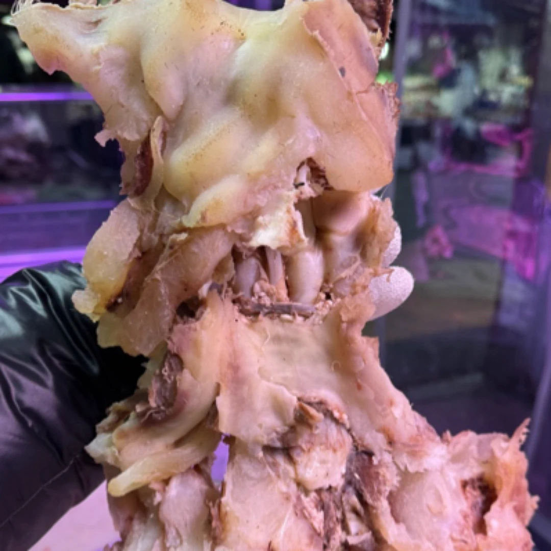 【牛蹄筋】1 斤 熟的 不带骨头 柴火灶煮的 非碱发