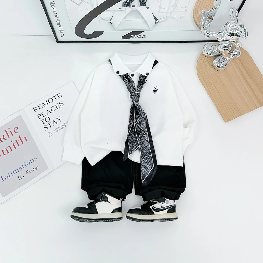 男童长袖POLO衫儿童卫衣2025秋季新款秋装 HZ25953