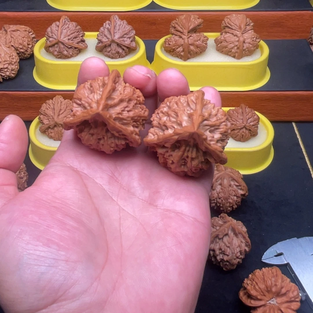 从***频核桃手串/手链官帽正奔