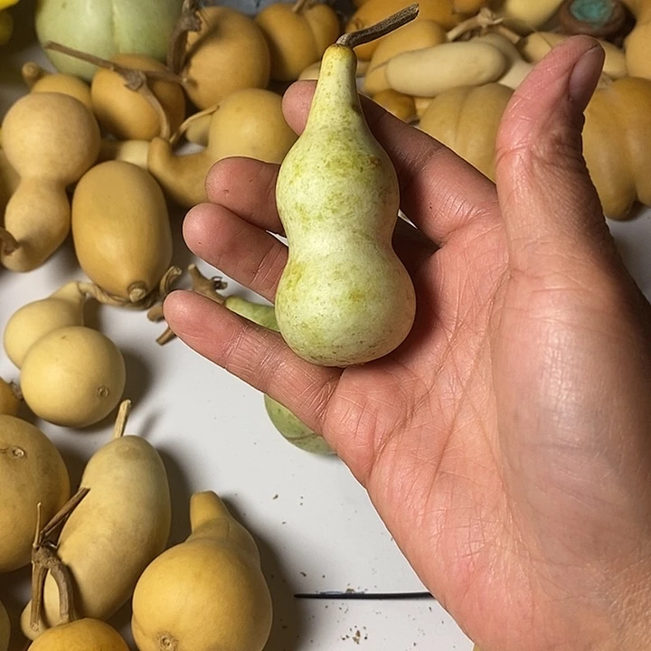 小****大厚皮手把件葫芦