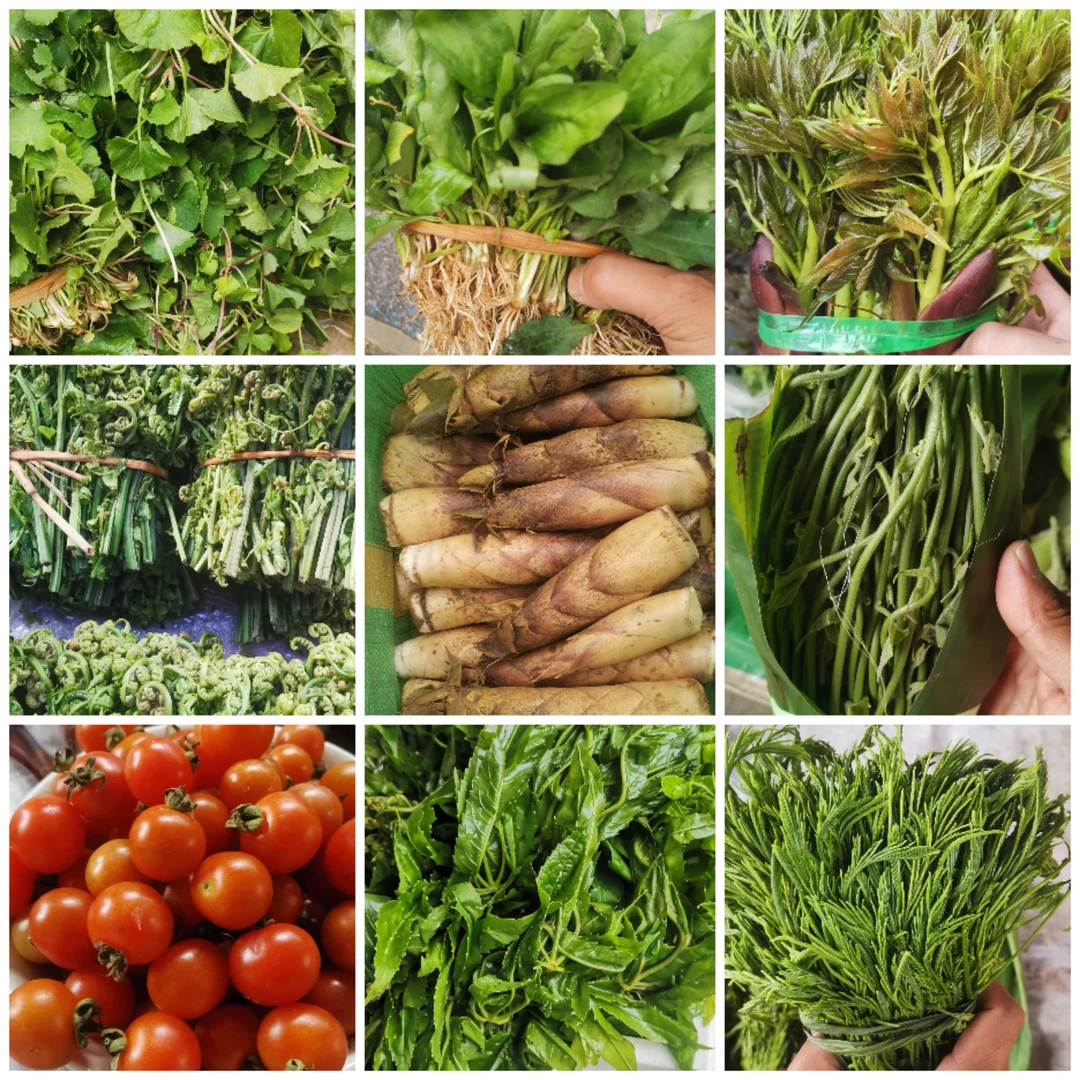 各类山茅野菜通用链接