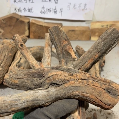 大果紫檀（缅甸花梨）哪***_