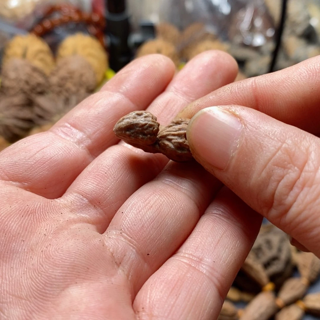 文玩核桃吊坠楠*?核桃33