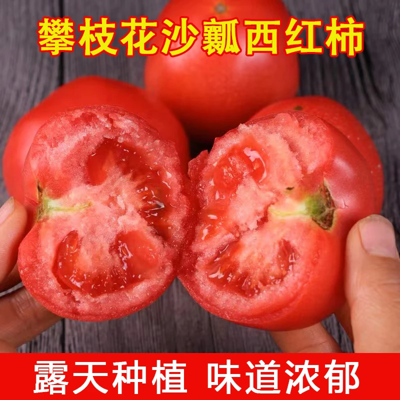 【坏果包赔】攀枝花老品种沙瓤西红柿新鲜水果生吃蔬菜番茄5斤