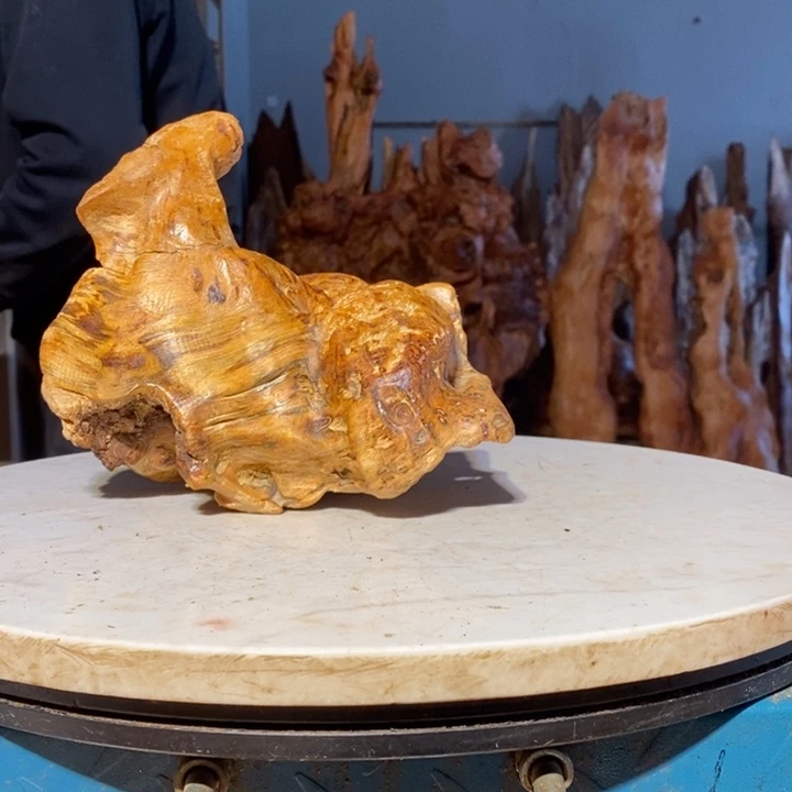 海*.我们都是你的粉丝4